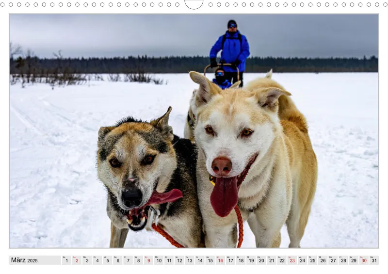 Huskies - Unterwegs mit dem Hundeschlitten.