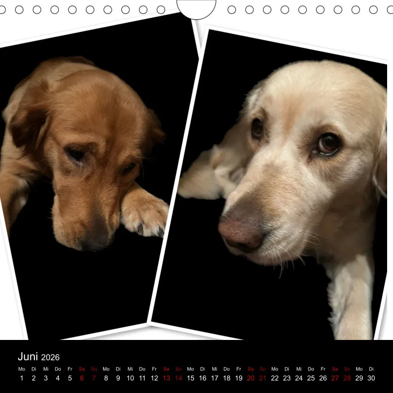 Kalender Lana und Fine 2026