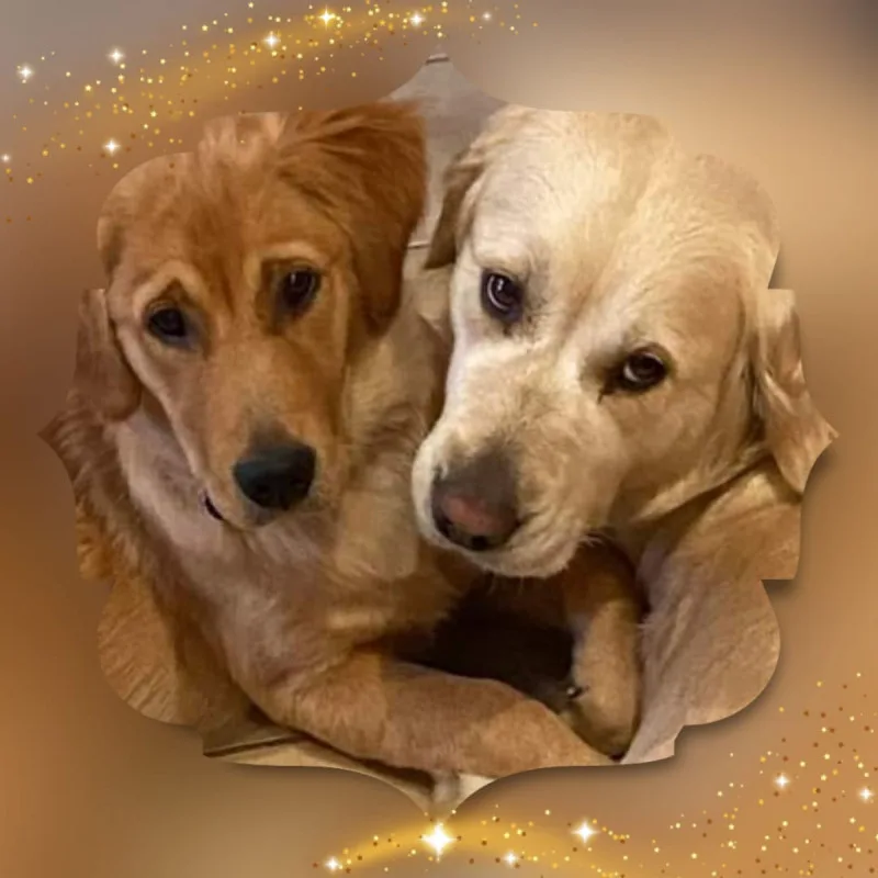 Kuschelkissen Lana und Fine