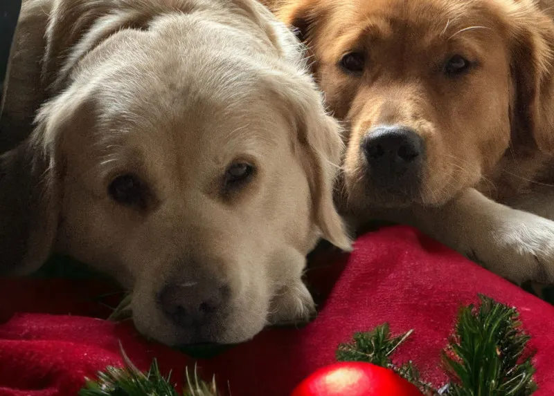 Weihnachten2000