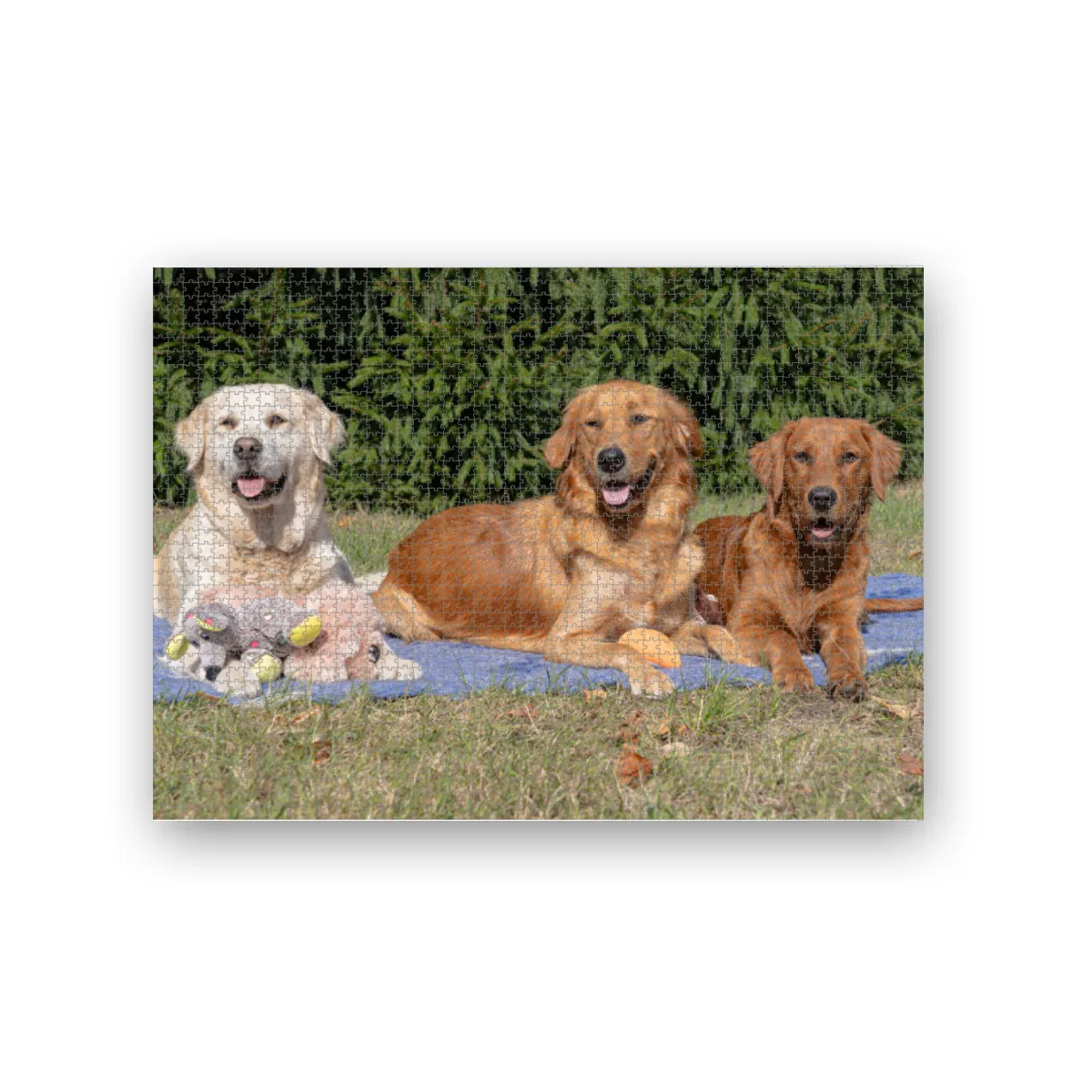 Lana, Fine und Paul 2000 Teile