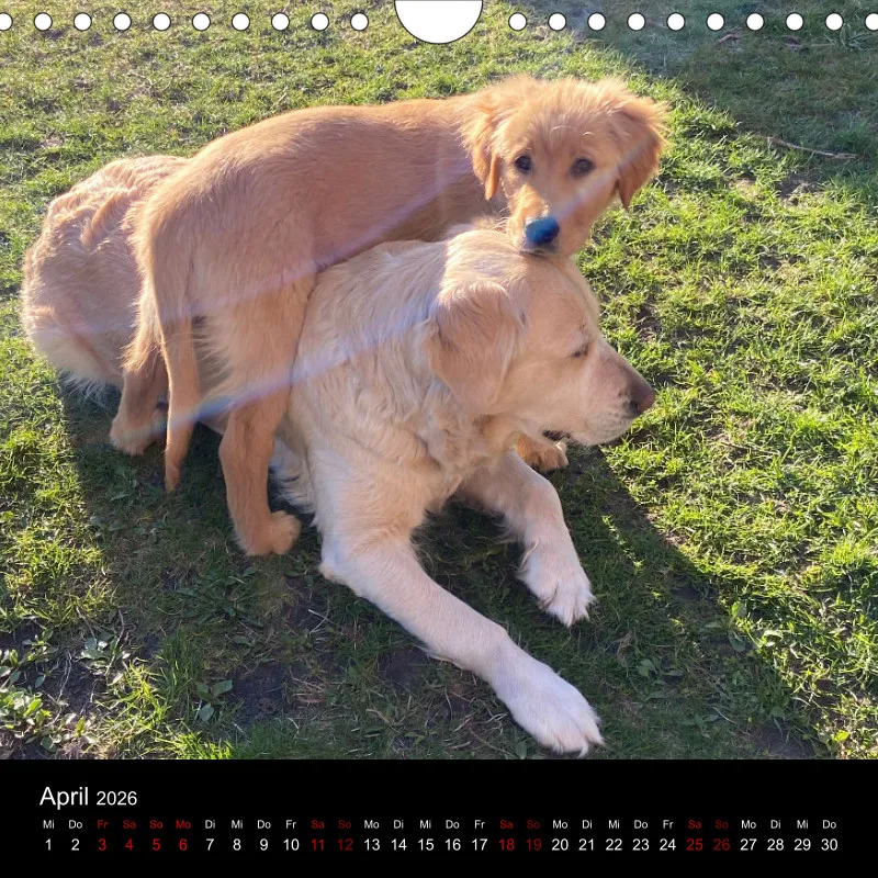 Kalender Lana und Fine 2026