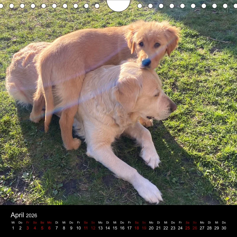 Kalender Lana und Fine 2026