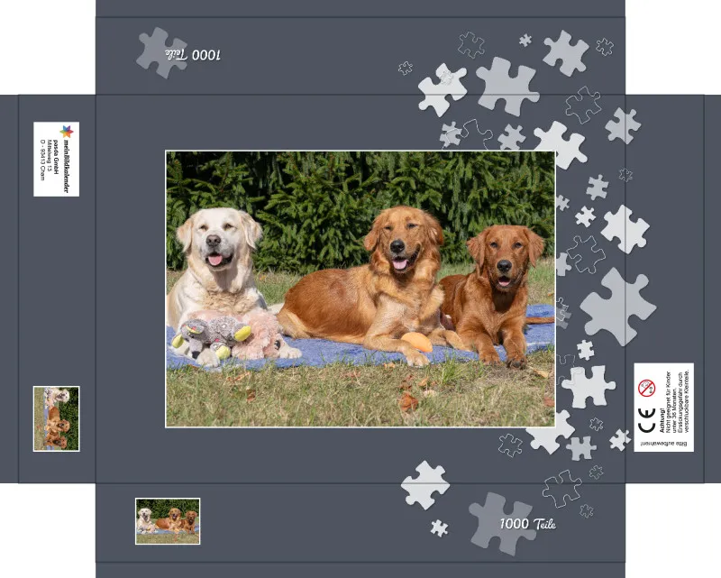 Lana, Fine und Paul 1000 Teile