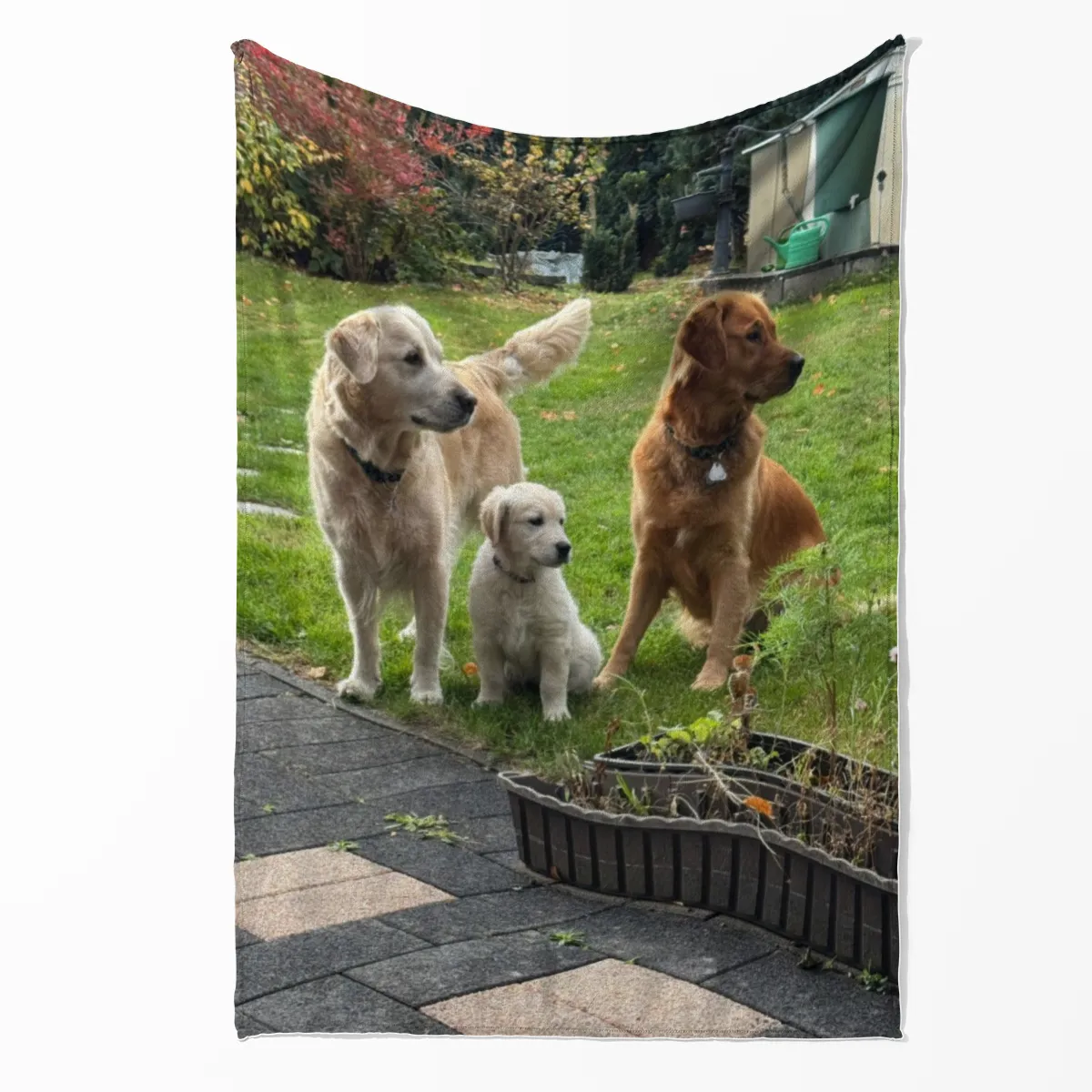 Kuscheldecke Lana Ava Fine