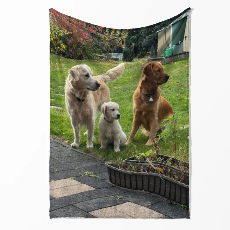 Kuscheldecke Lana Ava Fine