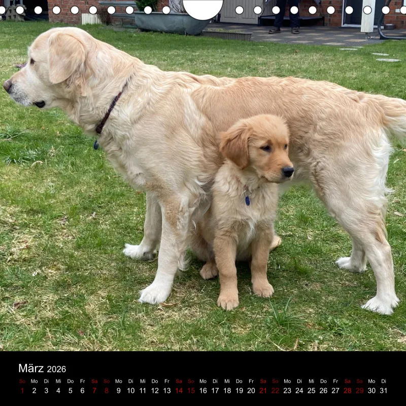 Kalender Lana und Fine 2026