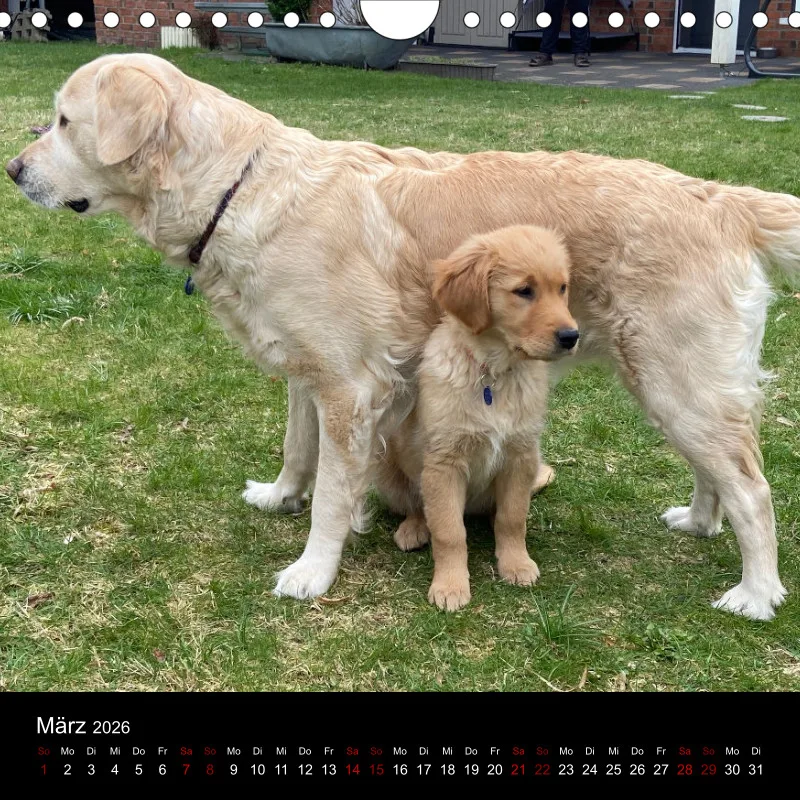 Kalender Lana und Fine 2026