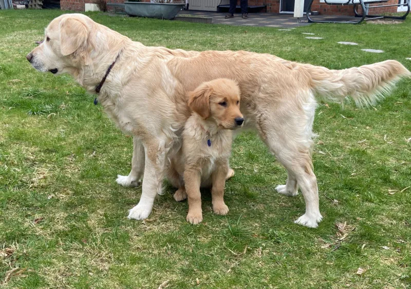 Lana und Fine 1000