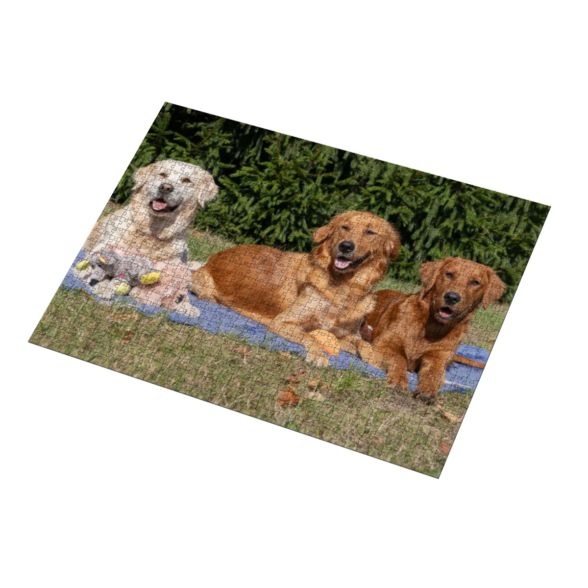 Lana, Fine und Paul 2000 Teile