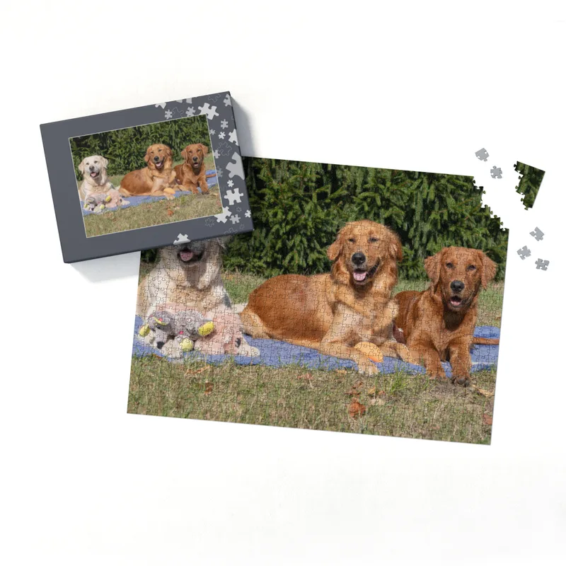 Lana, Fine und Paul 2000 Teile