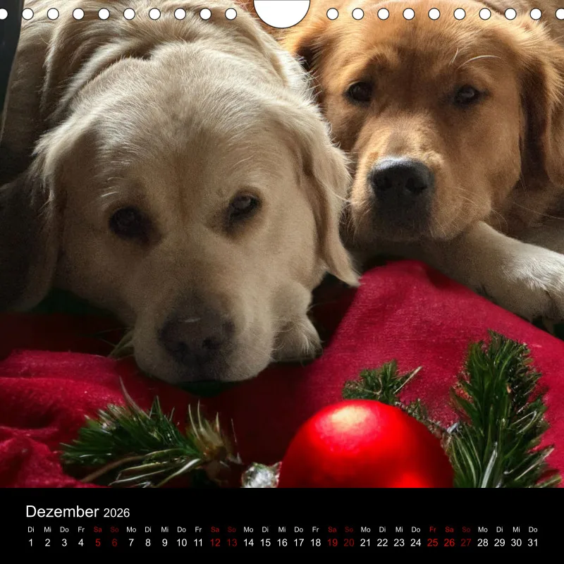 Kalender Lana und Fine 2026