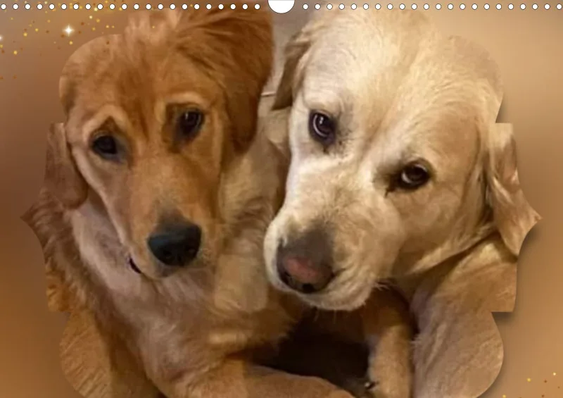 Lana und Fine 2026 neu
