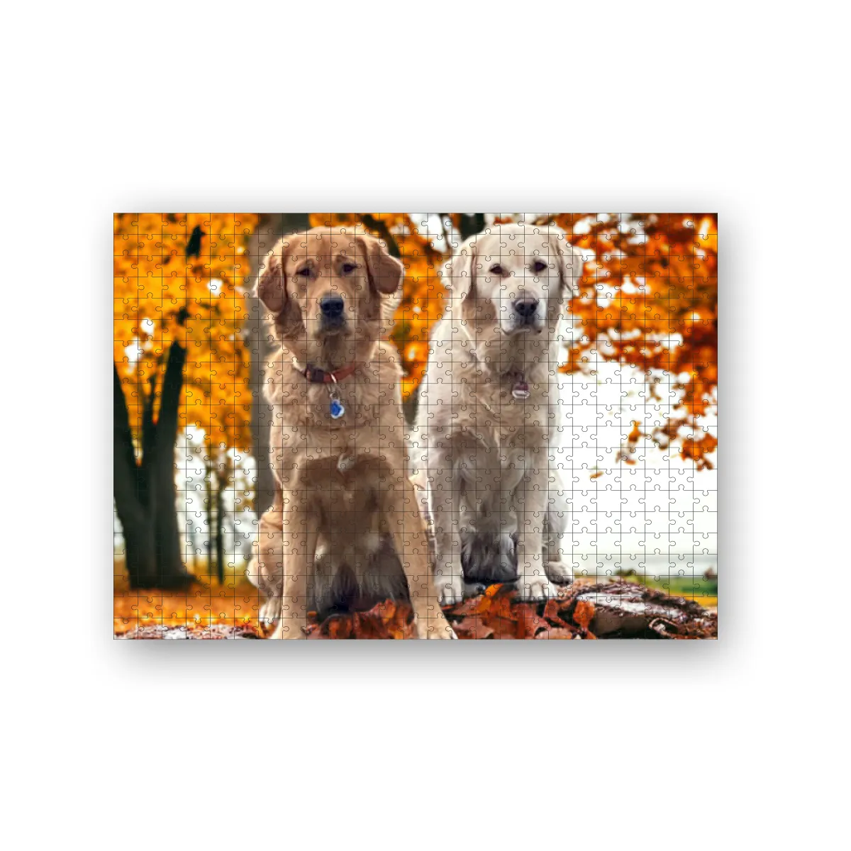 Herbst
