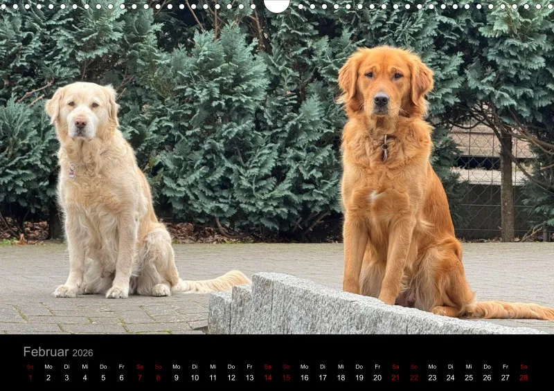 Lana und Fine 2026 neu