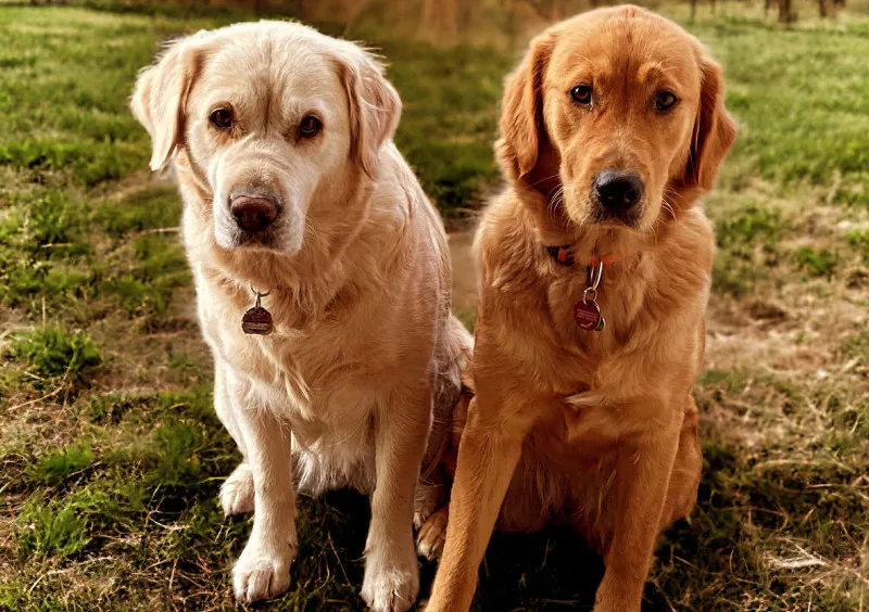 Lana und Fine 1000 Teile
