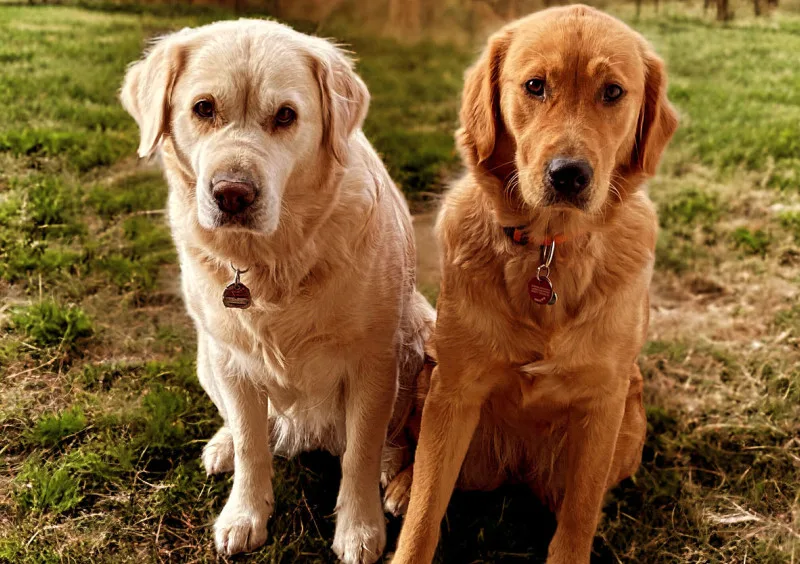 Lana und Fine 1000 Teile