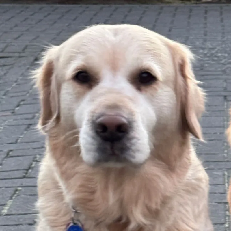 Kuschelkissen Lana