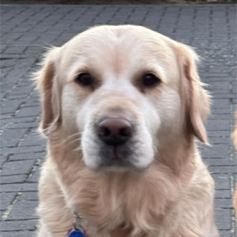Kuschelkissen Lana