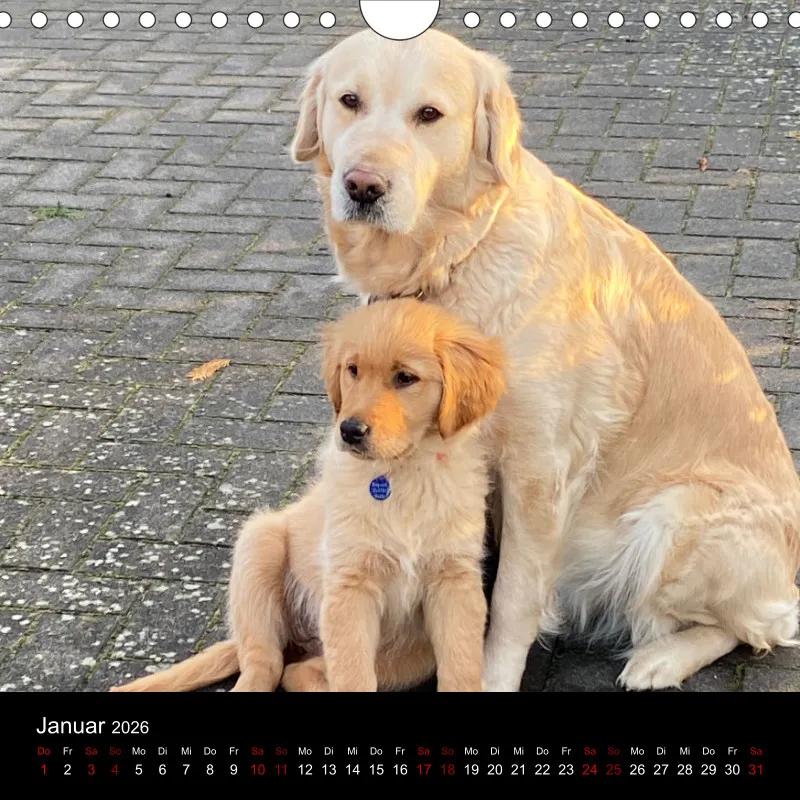 Kalender Lana und Fine 2026