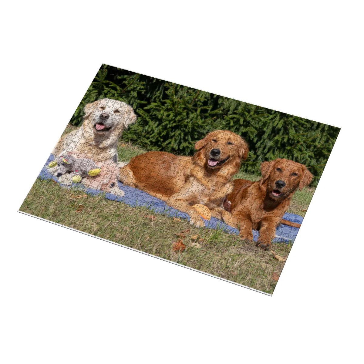 Lana, Fine und Paul 1000 Teile