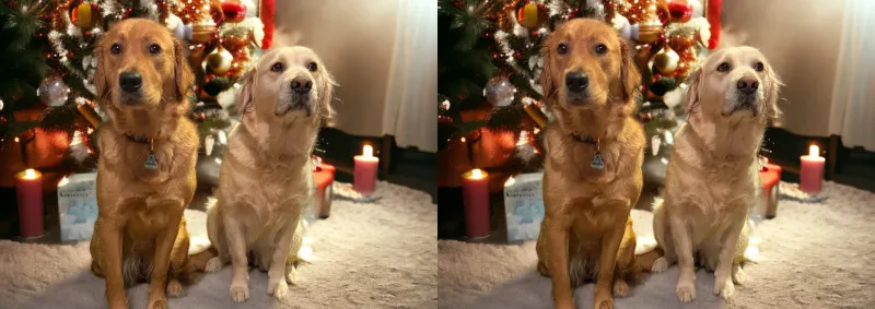 Klappkarte 2 Lana und Fine Weihnachten