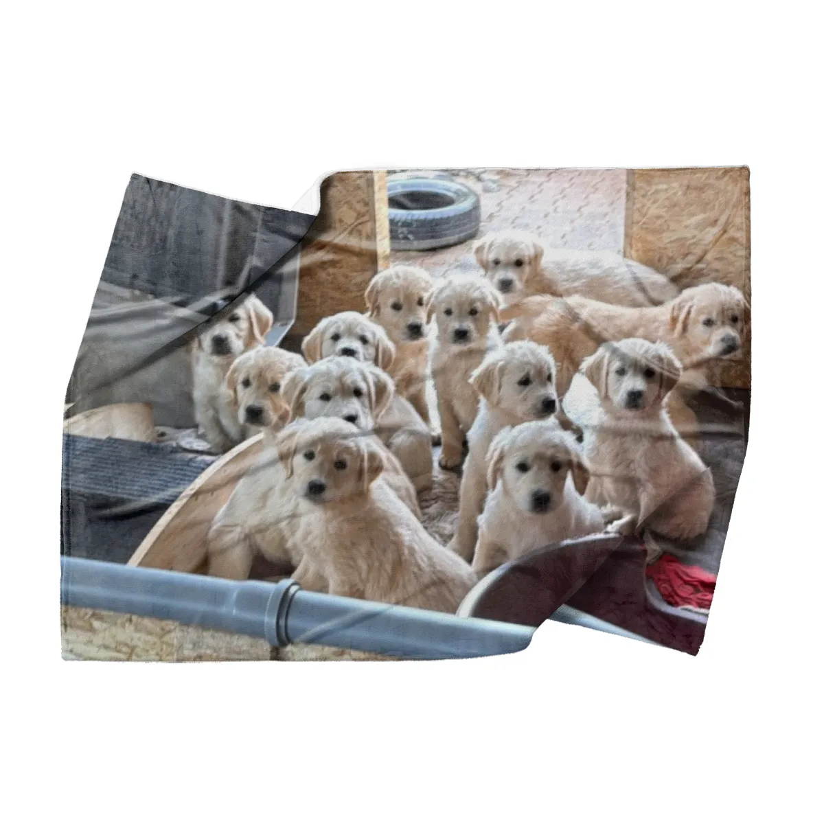 Kuscheldecke A-Wurf zur Lopau