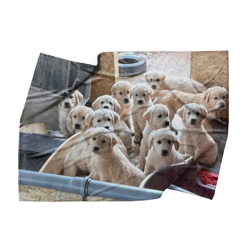 Kuscheldecke A-Wurf zur Lopau