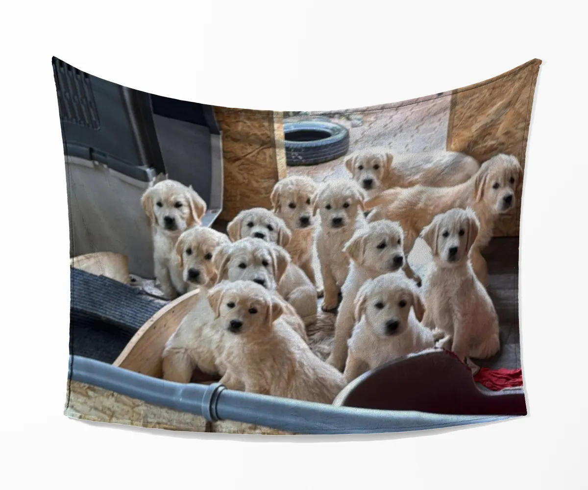 Kuscheldecke A-Wurf zur Lopau