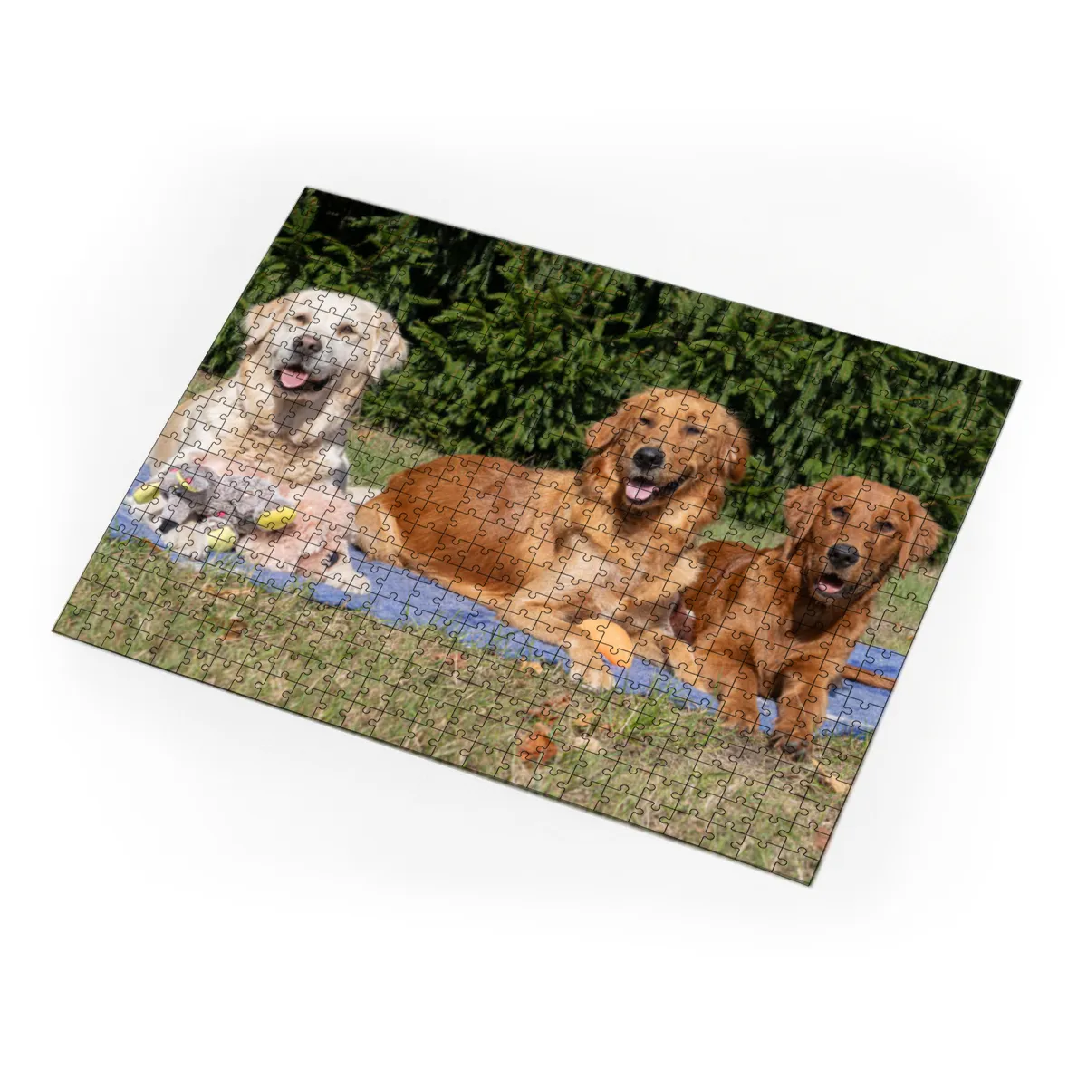 Lana, Fine und Paul 500 Teile