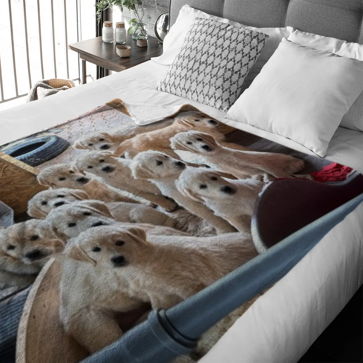 Kuscheldecke A-Wurf zur Lopau