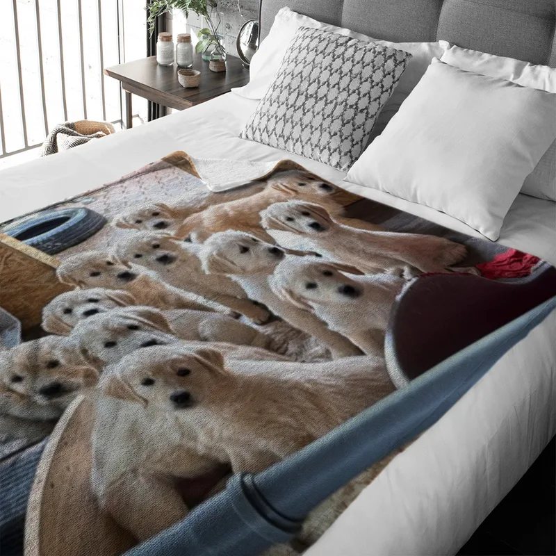 Kuscheldecke A-Wurf zur Lopau