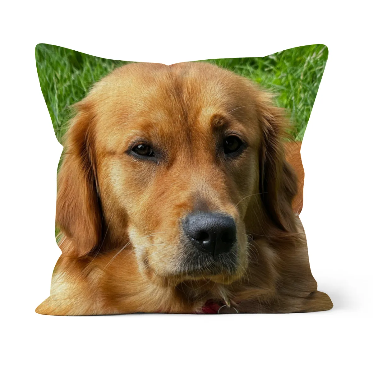 Kuschelkissen Fine