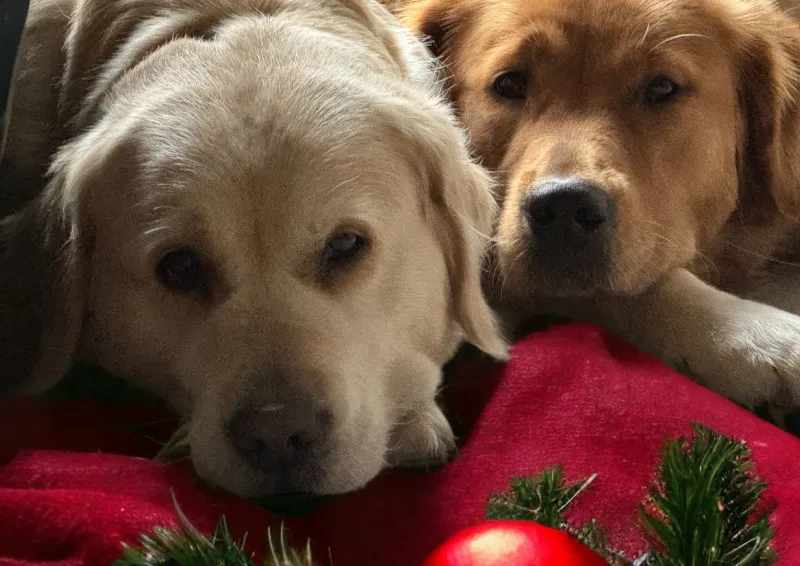 Weihnachten