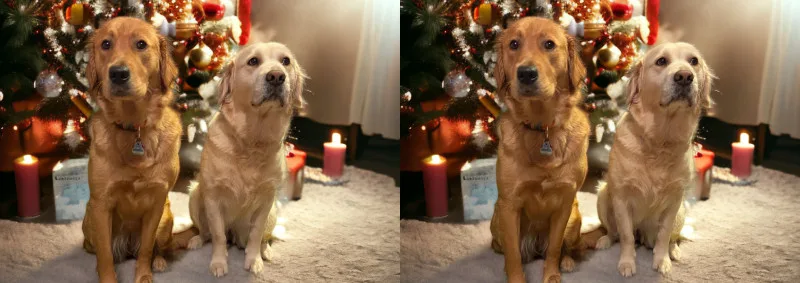 Klappkarte 2 Lana und Fine Weihnachten
