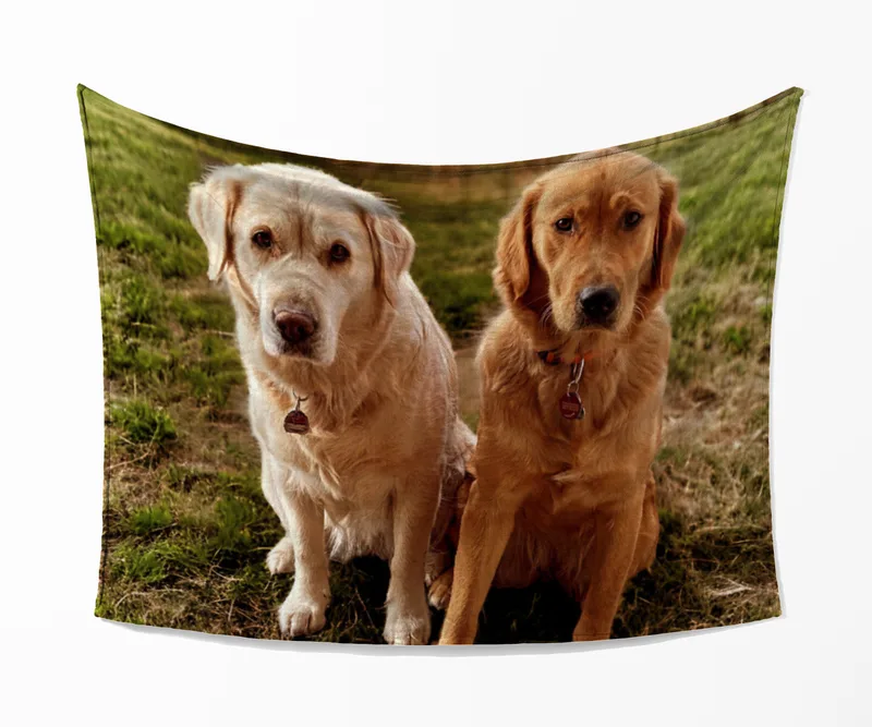Kuscheldecke Lana und Fine