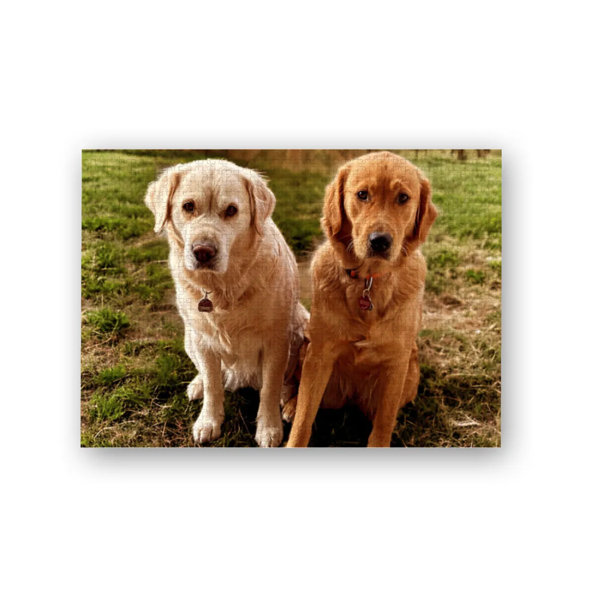 Lana und Fine 1000 Teile