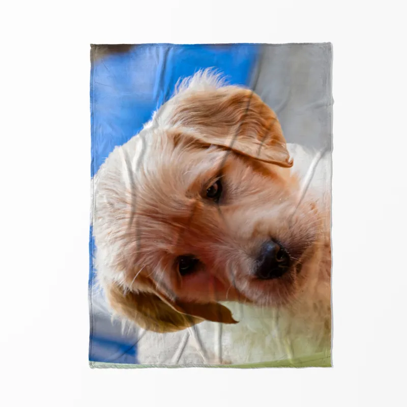 Kuscheldecke Fips