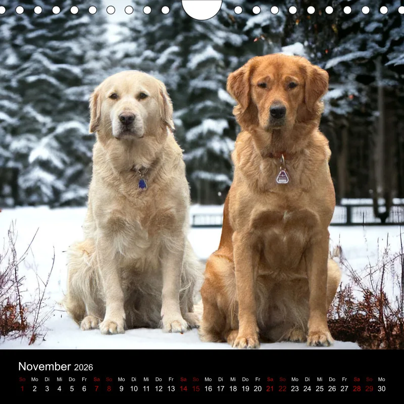 Kalender Lana und Fine 2026