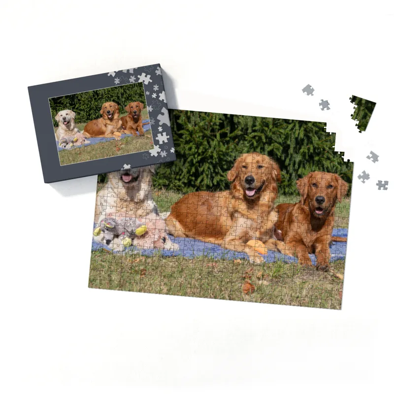 Lana, Fine und Paul 500 Teile