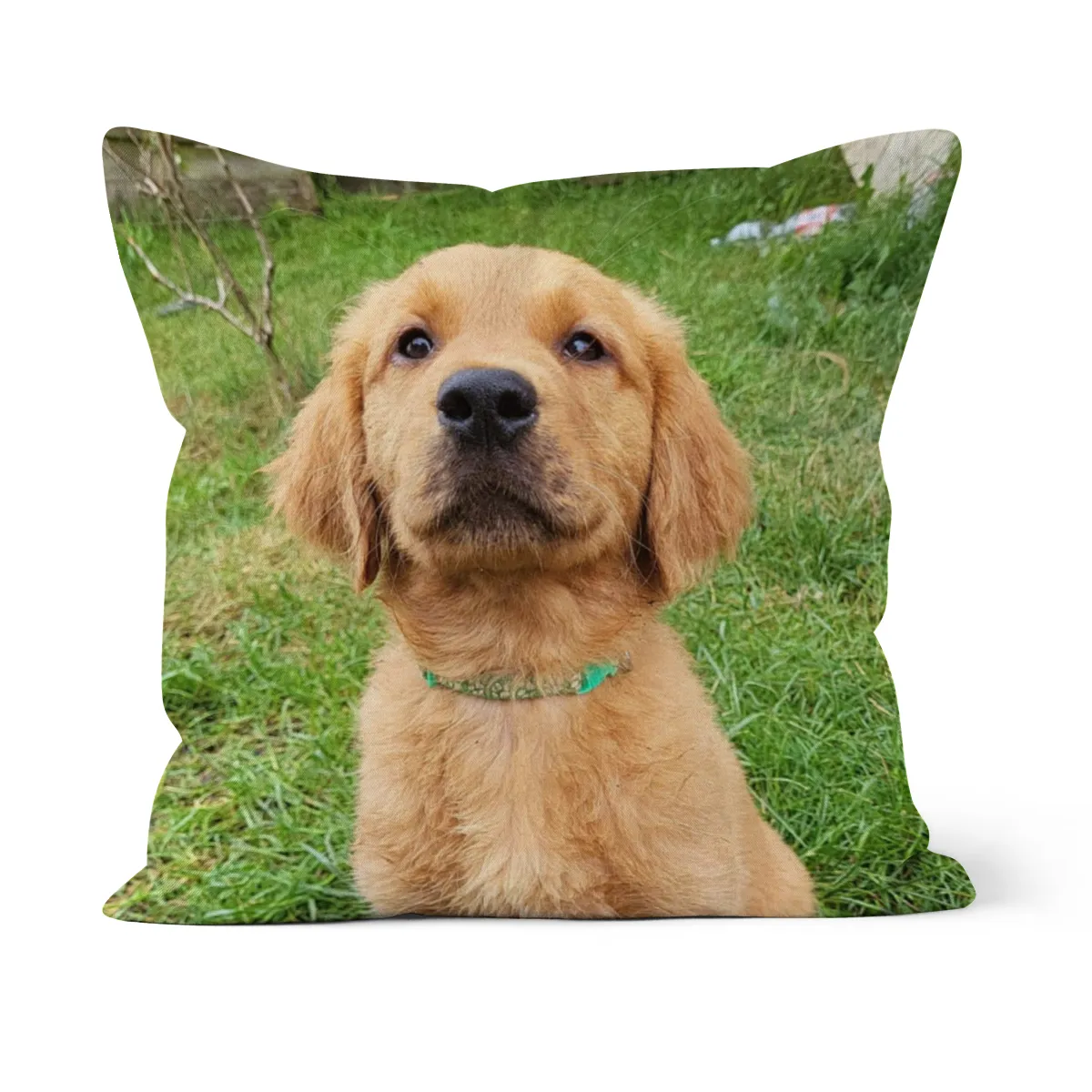 Kuschelkissen Elliot