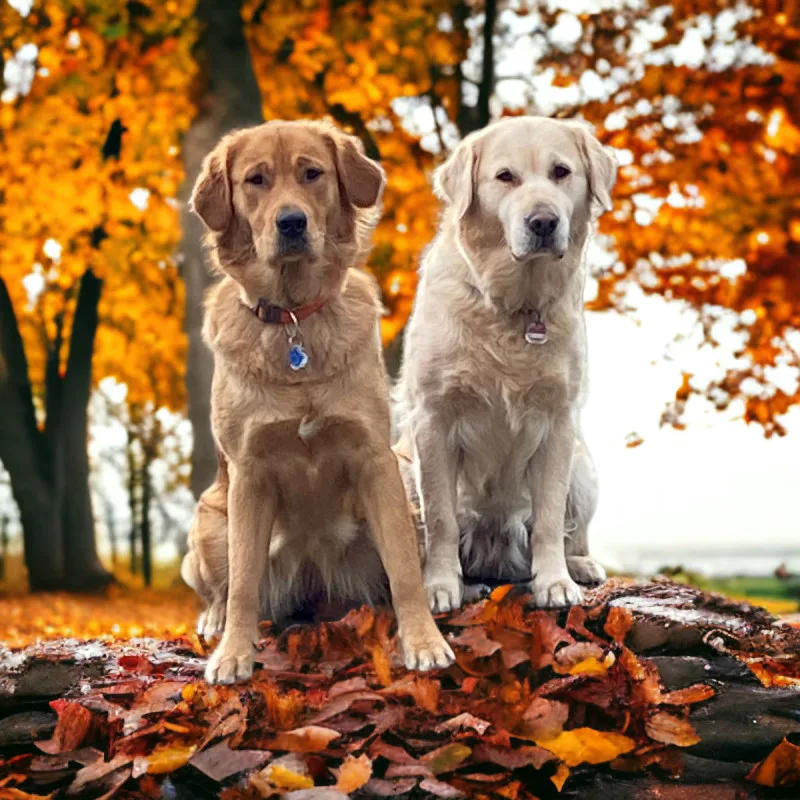 Kuschelkissen Herbst/Winter mit Lana undFine