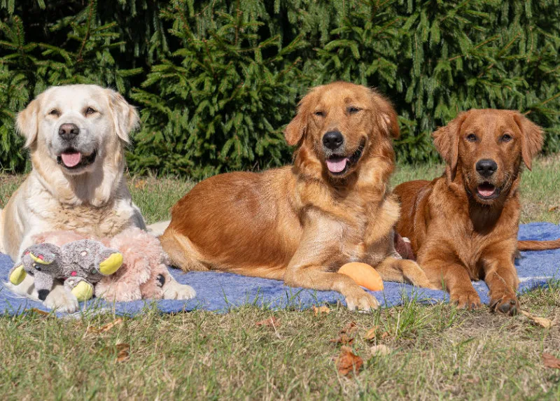 Lana, Fine und Paul 2000 Teile