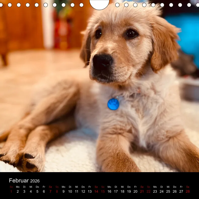 Kalender Lana und Fine 2026
