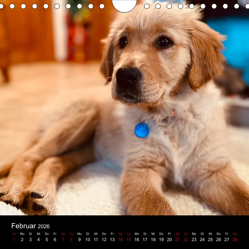 Kalender Lana und Fine 2026