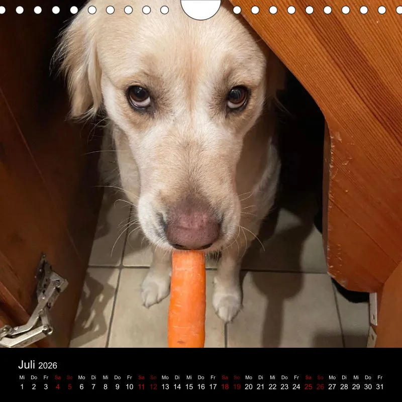 Kalender Lana und Fine 2026