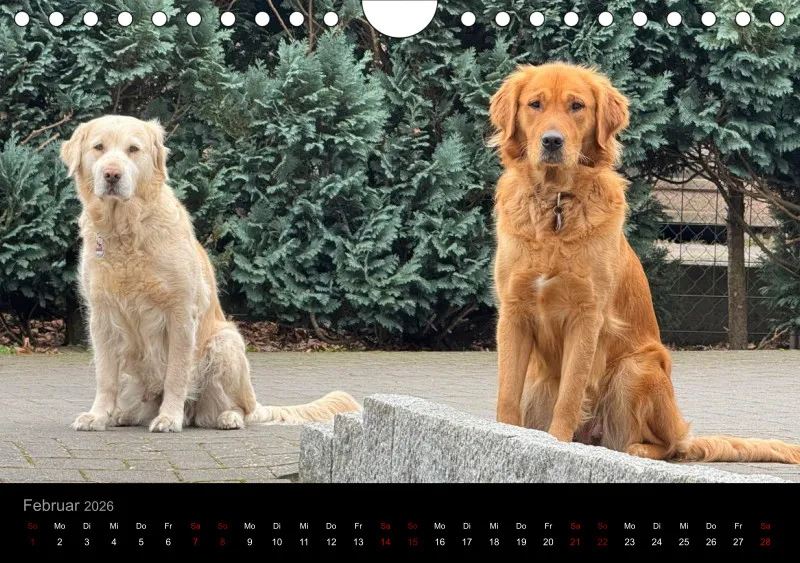 Lana und Fine 2026 neu