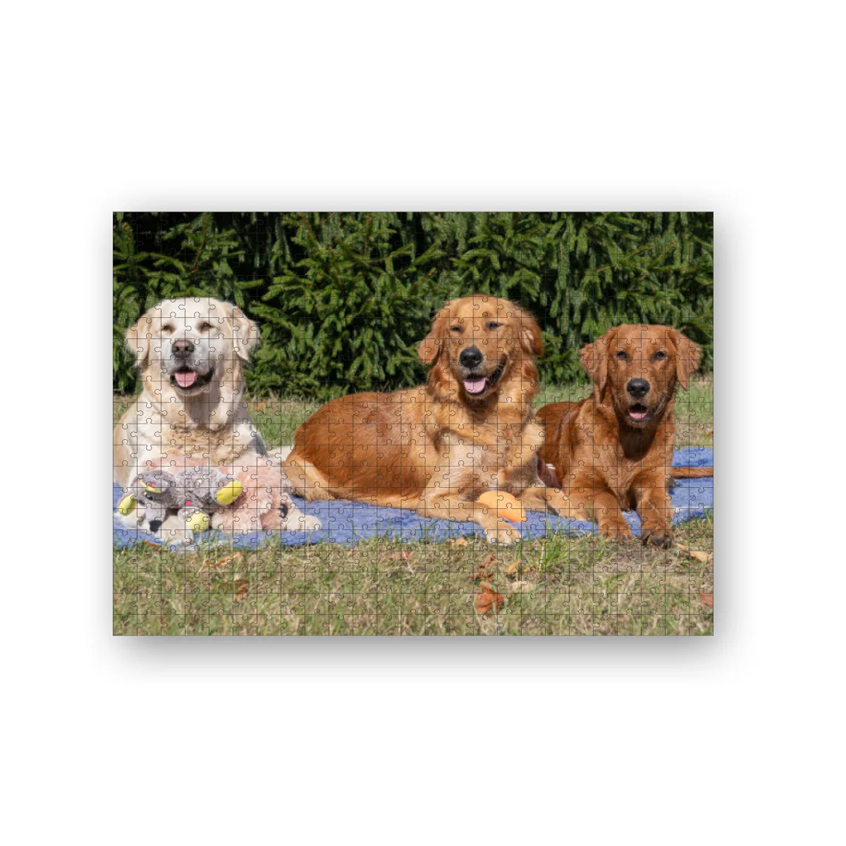 Lana, Fine und Paul 500 Teile