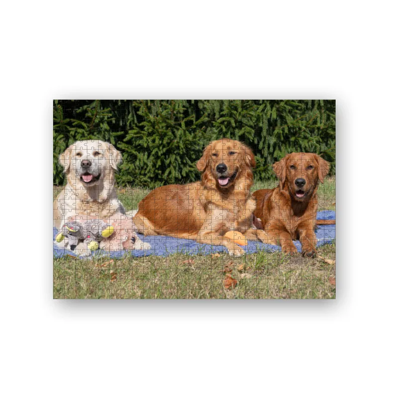 Lana, Fine und Paul 500 Teile