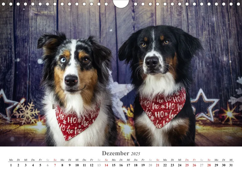 Kalender Hund 2025